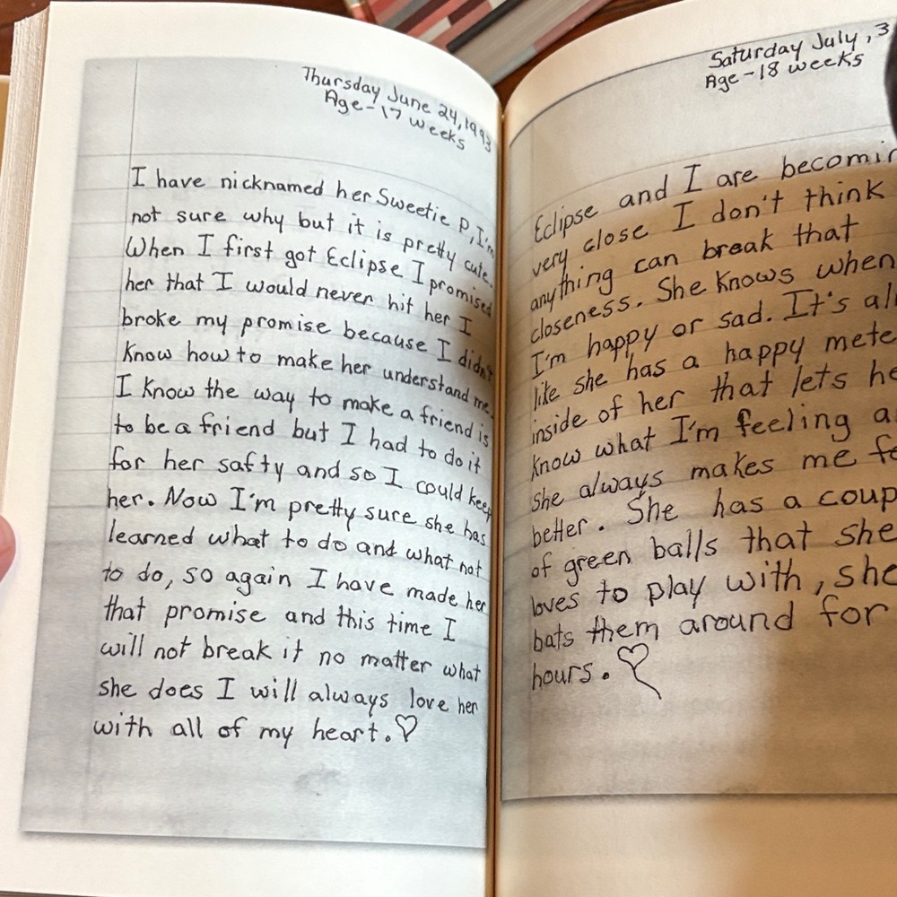 A Stolen Life Memoir Book - Picture 3 of 3